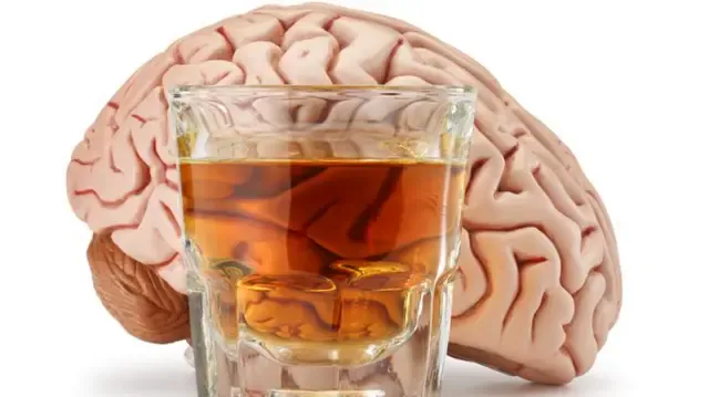 Álcool Prejudica a Saúde? Tudo O Que Você Precisa Saber