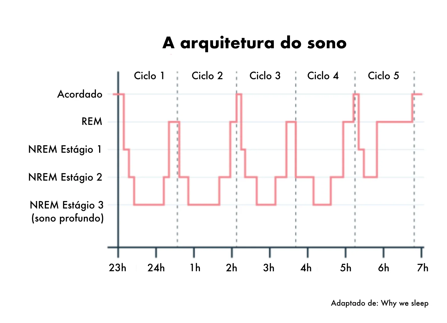 Os Estágios do Sono: Tudo O Que Você Precisa Saber