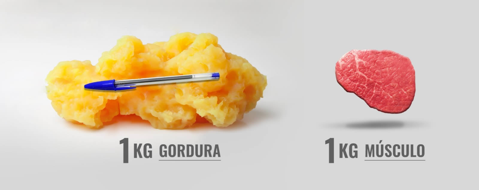 Alimentação para ganho de massa muscular